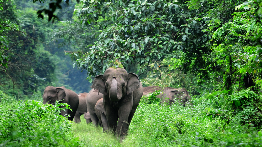 景洪市划定中高风险区,景洪市全景图片