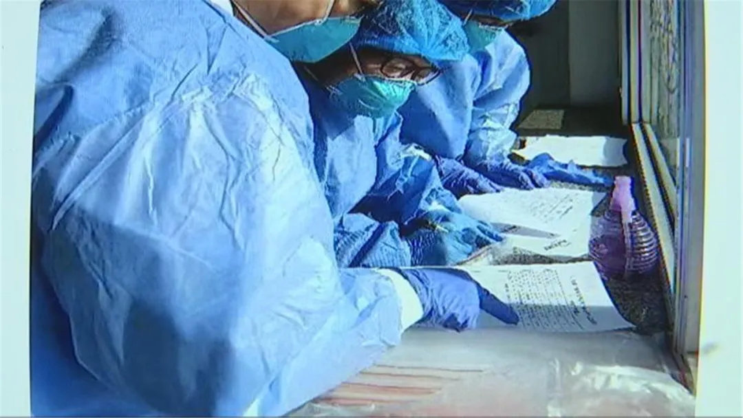 核酸检测试剂盒荧光pcr法,乙肝病毒核酸定量pcr