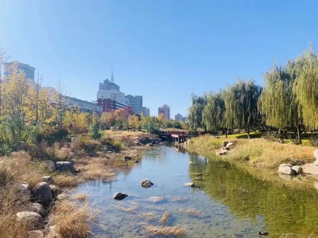 创森进行时丨立冬后，我把丰台的秋，收进了相册里