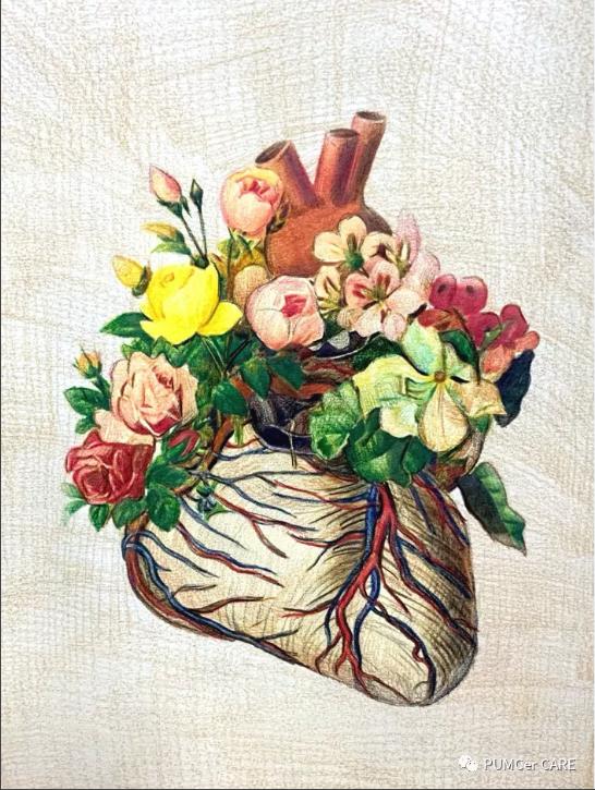 求学顶级医学院校是怎样的体验？23位院士坐镇，学霸大神云集！