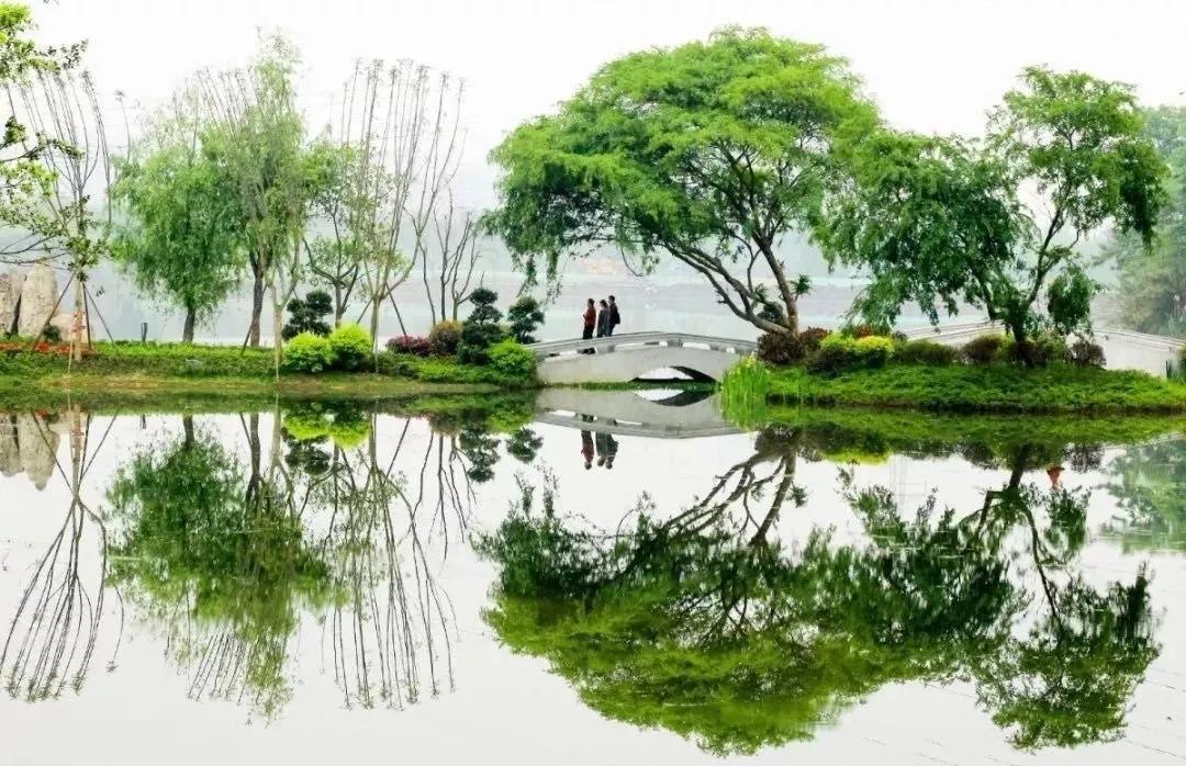 十年来有多少人选择了成都成华？|成华融媒