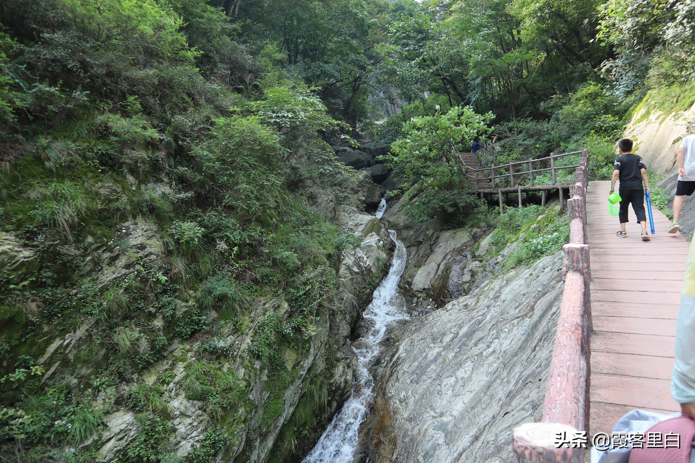 南召宝天曼旅游视频,南召宝天曼游览图