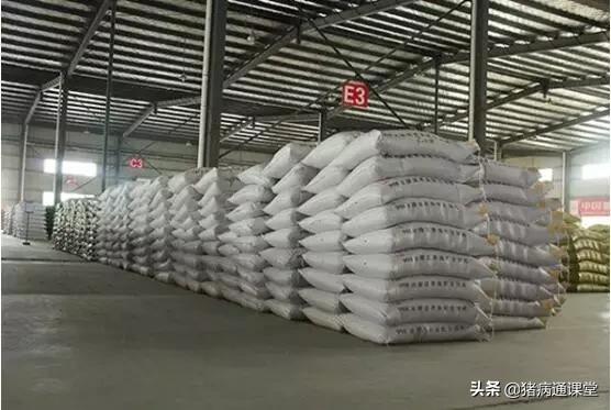 母猪超过预产期产仔少吗,母猪肚子小产仔就一定少吗