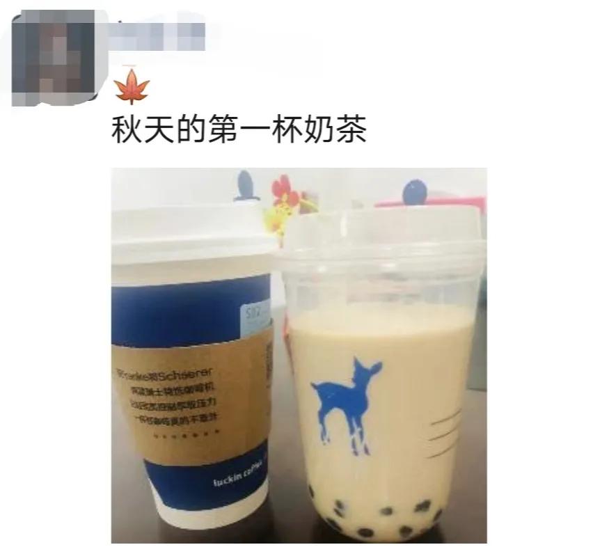 秋天第一杯奶茶什么梗,秋天的第一杯奶茶刷屏了什么梗