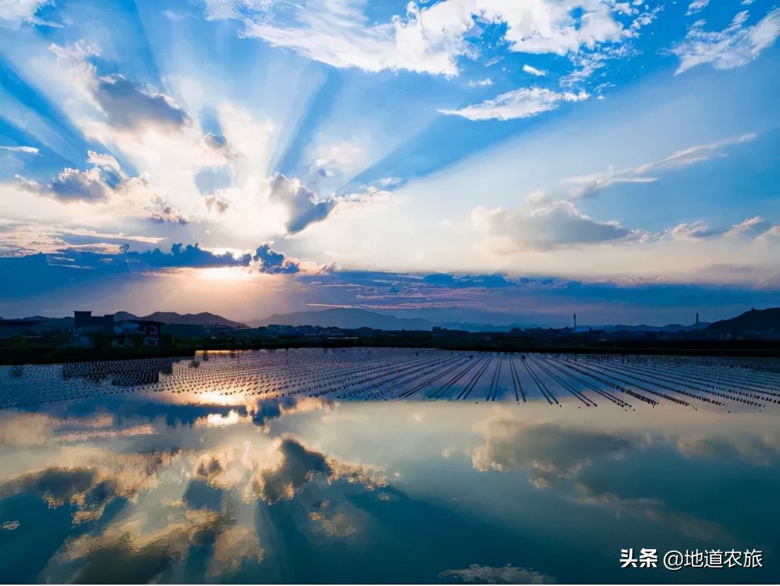 看她如何从砂砾到宝珠，实现乡村振兴，仅线上销售就达20亿