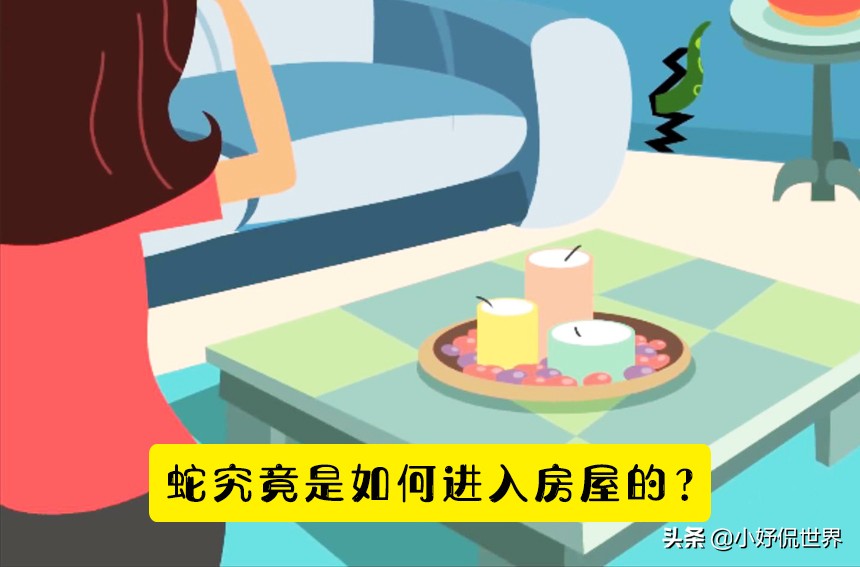 脑洞大开怎么才能过去呢,如果蛇闯进家里怎么办