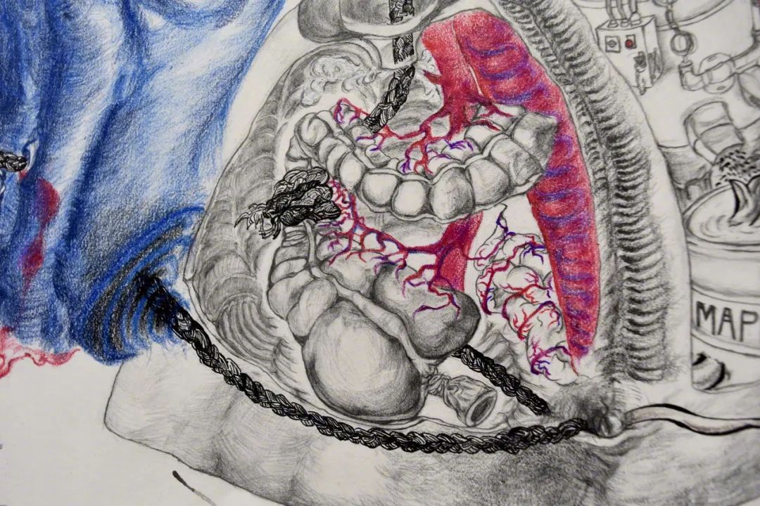 她用女性身体做展：我们瘦够了