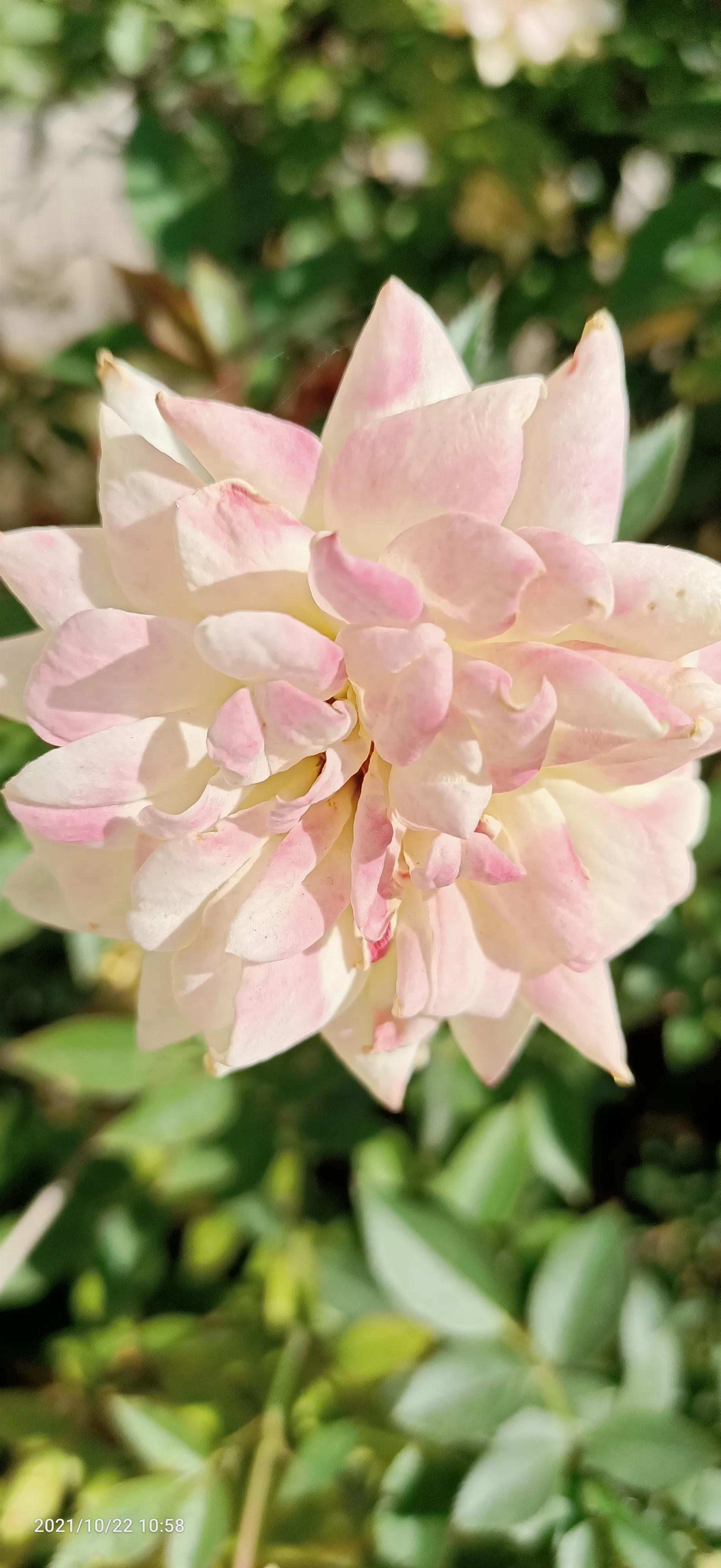 达则兼济天下穷则独善其身,达则兼济天下穷则独善其身素材