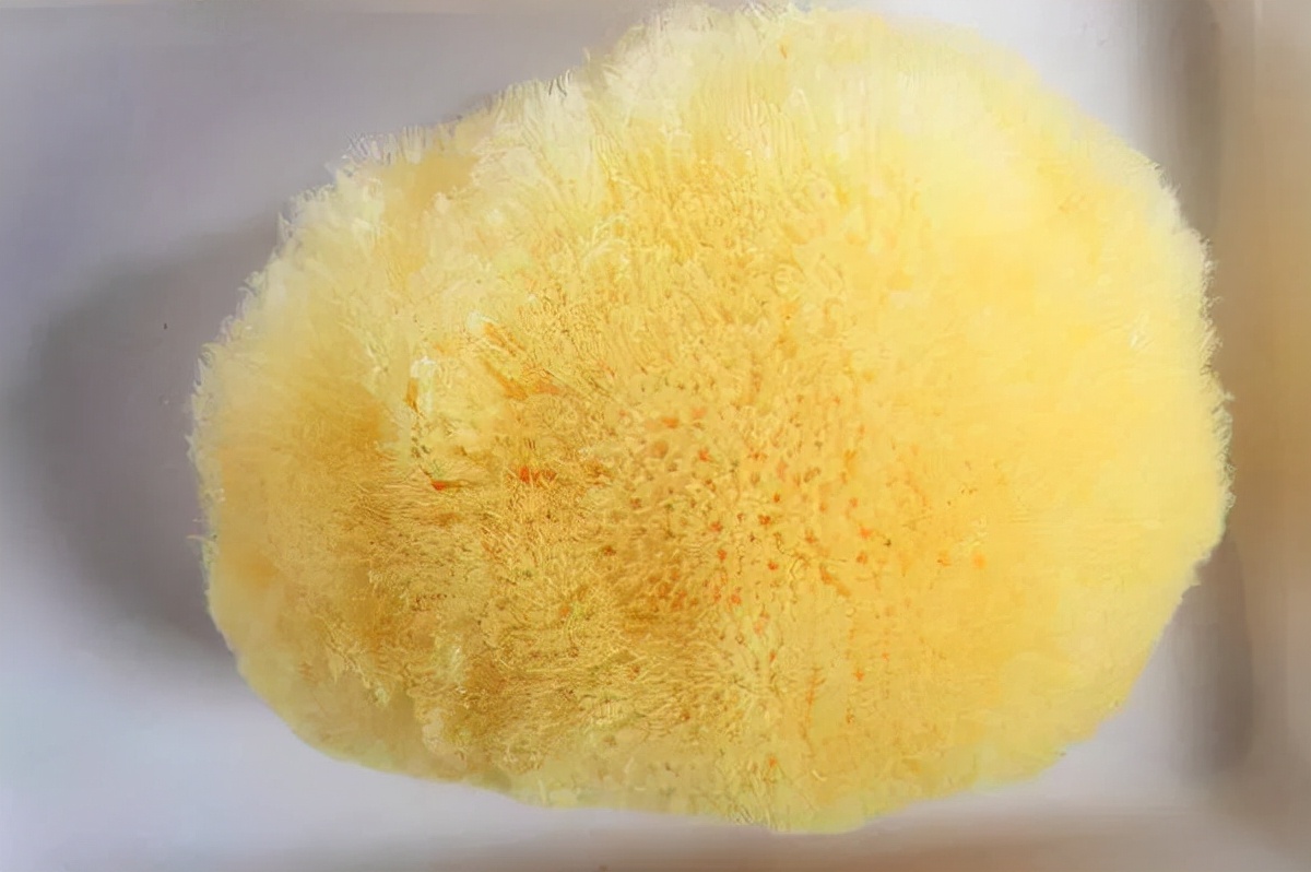 便携式洗浴神器测评,目前最好用的洗浴神器