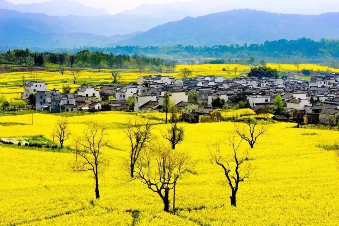 安徽黄山徽州宏村民宿,宏村民宿徽自在