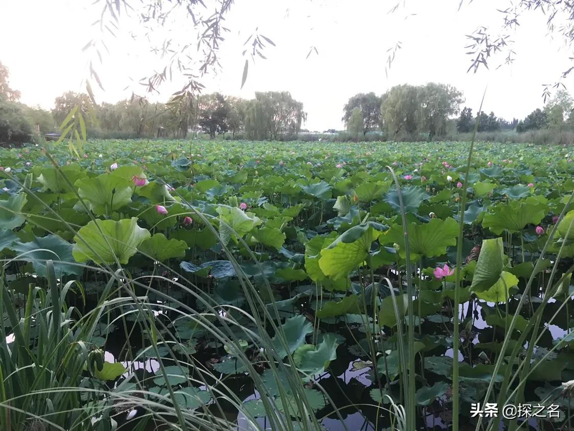 缇庣殑浠や汉閬愭兂,缇庣殑鎯婅壋缇庣殑闇囨捈