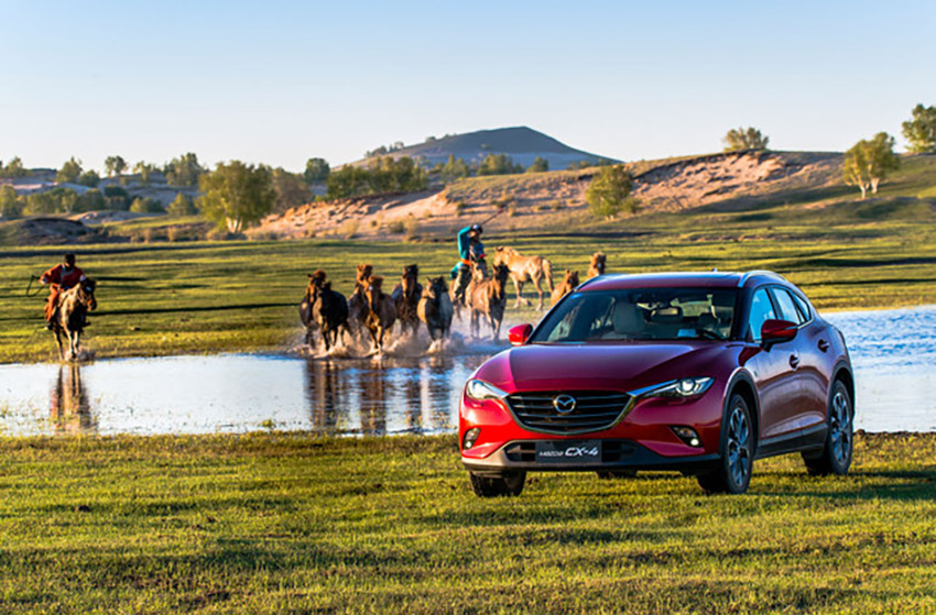 买车要注意的风险有哪些,买车要注意的4个雷区