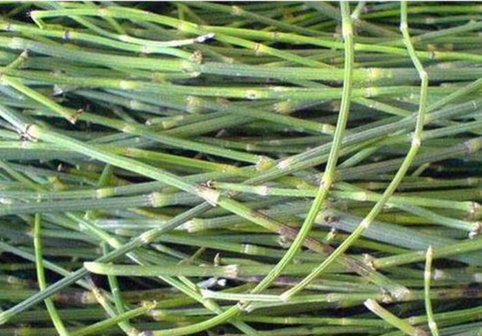 在农村治“牛皮癣”比城里好治是为什么？