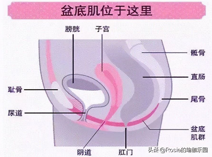 吉娜产后身材火速恢复,吉娜孕期腰围