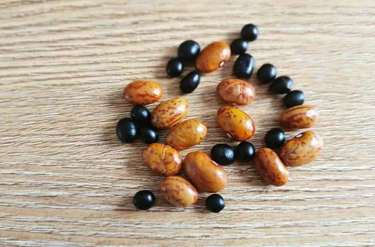 培养专注力100个游戏,培养一岁专注力的游戏