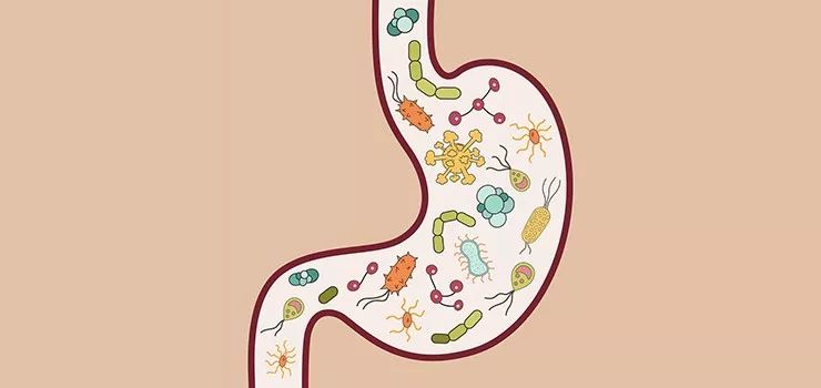 老是莫名其妙真菌感染,总是真菌感染是因为什么