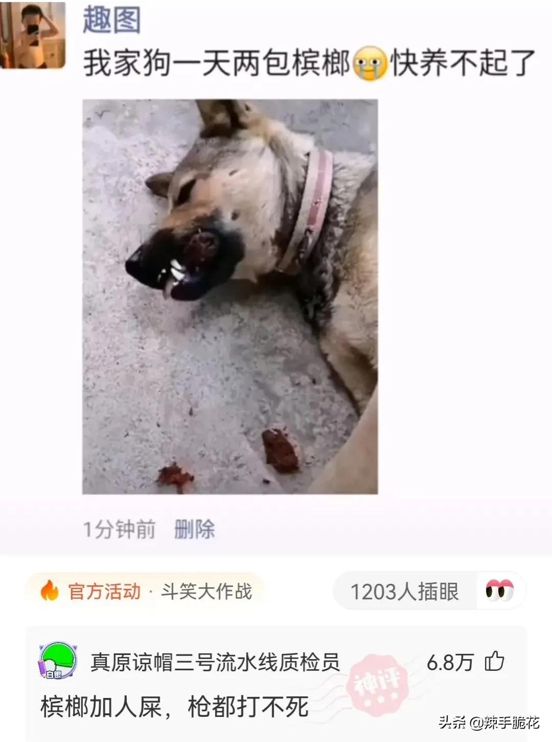 网友：像我这种没穿*裤内**的怎么进去？