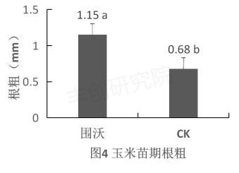 玉米出苗差、株矮、叶小？用这个肥，一棵能结一大捧