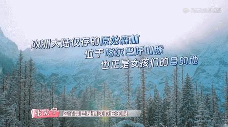 横冲直撞20岁波兰,横冲直撞20岁评价