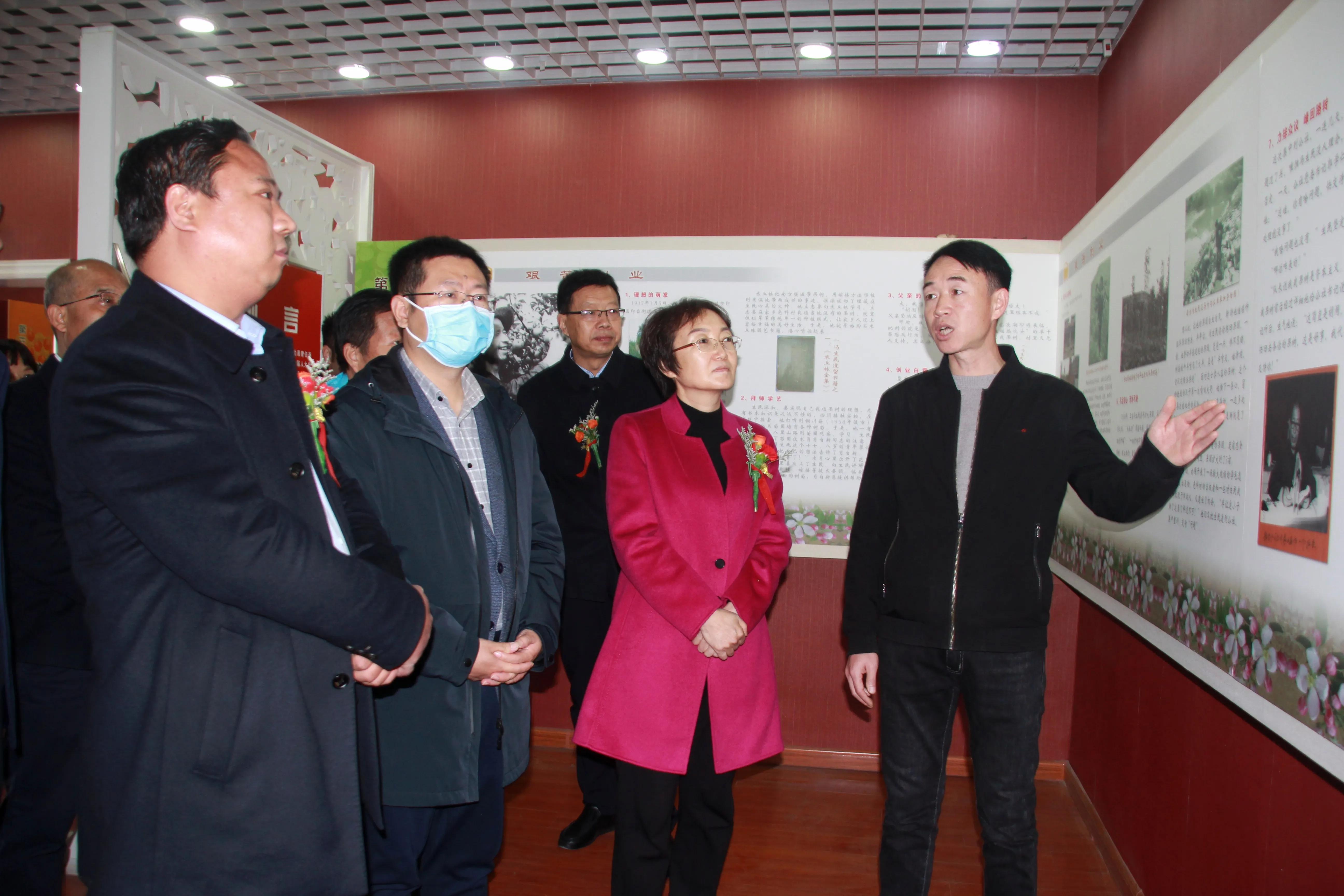 陕西铜川果品,铜川印台镇果业