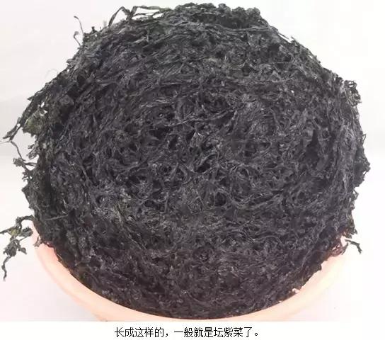 海苔和紫菜，到底是不是一种东西？