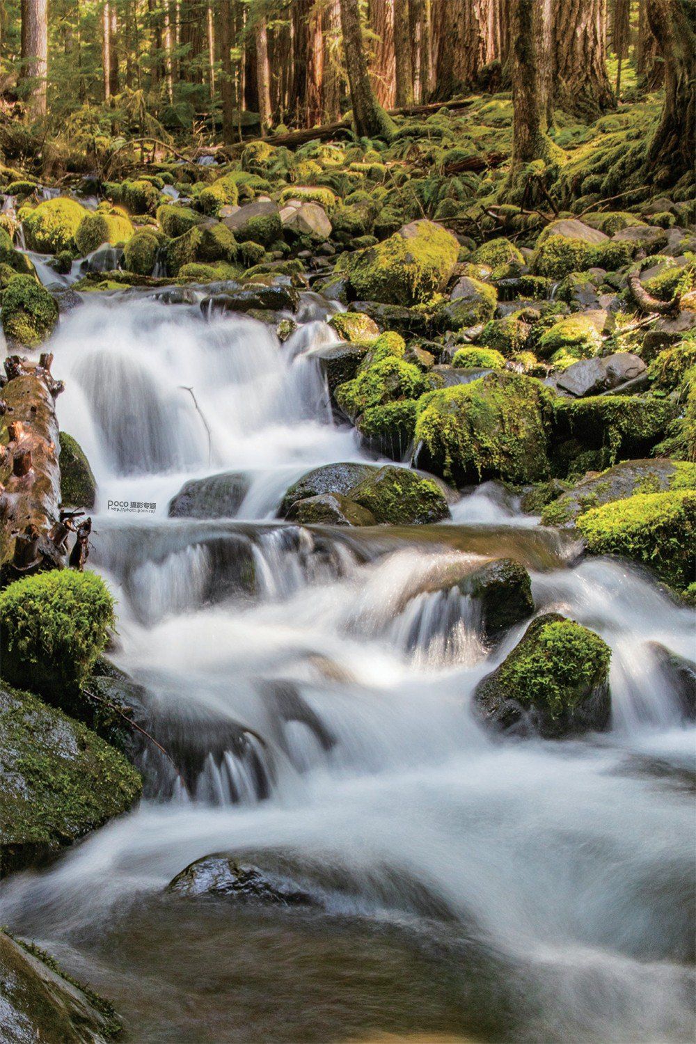 结合摄影知识谈如何拍好一张照片,如何拍出一张优美的照片摄影思路