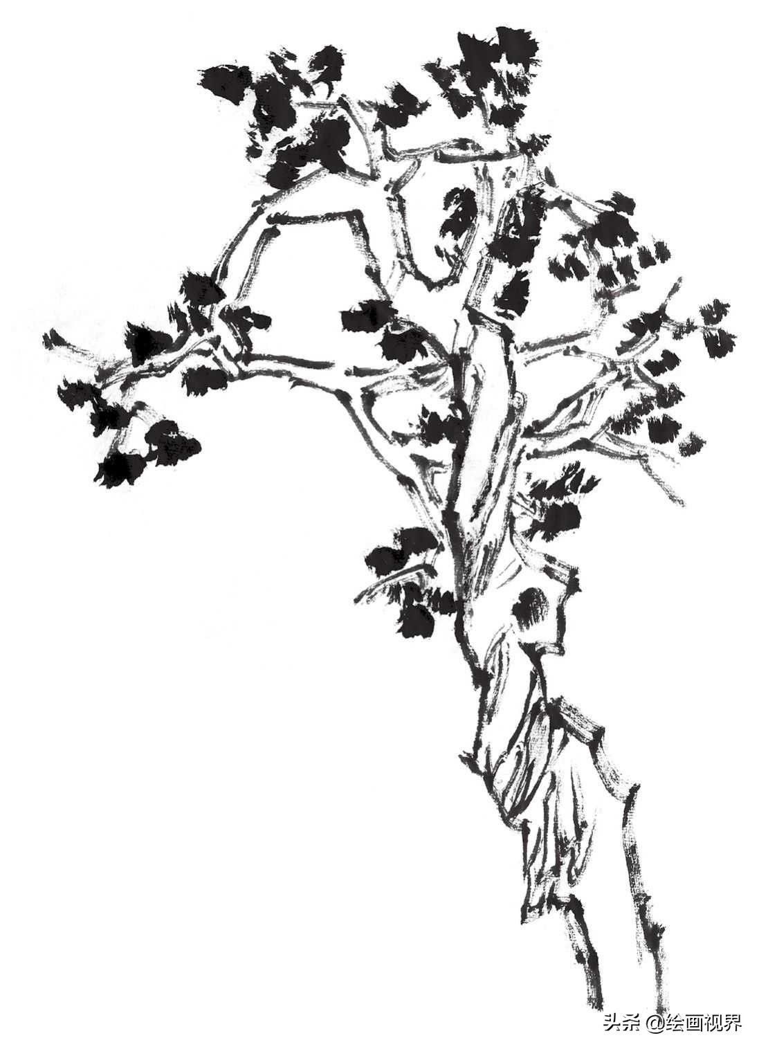 国画双钩树的画法入门,国画杂树与山石的画法图片