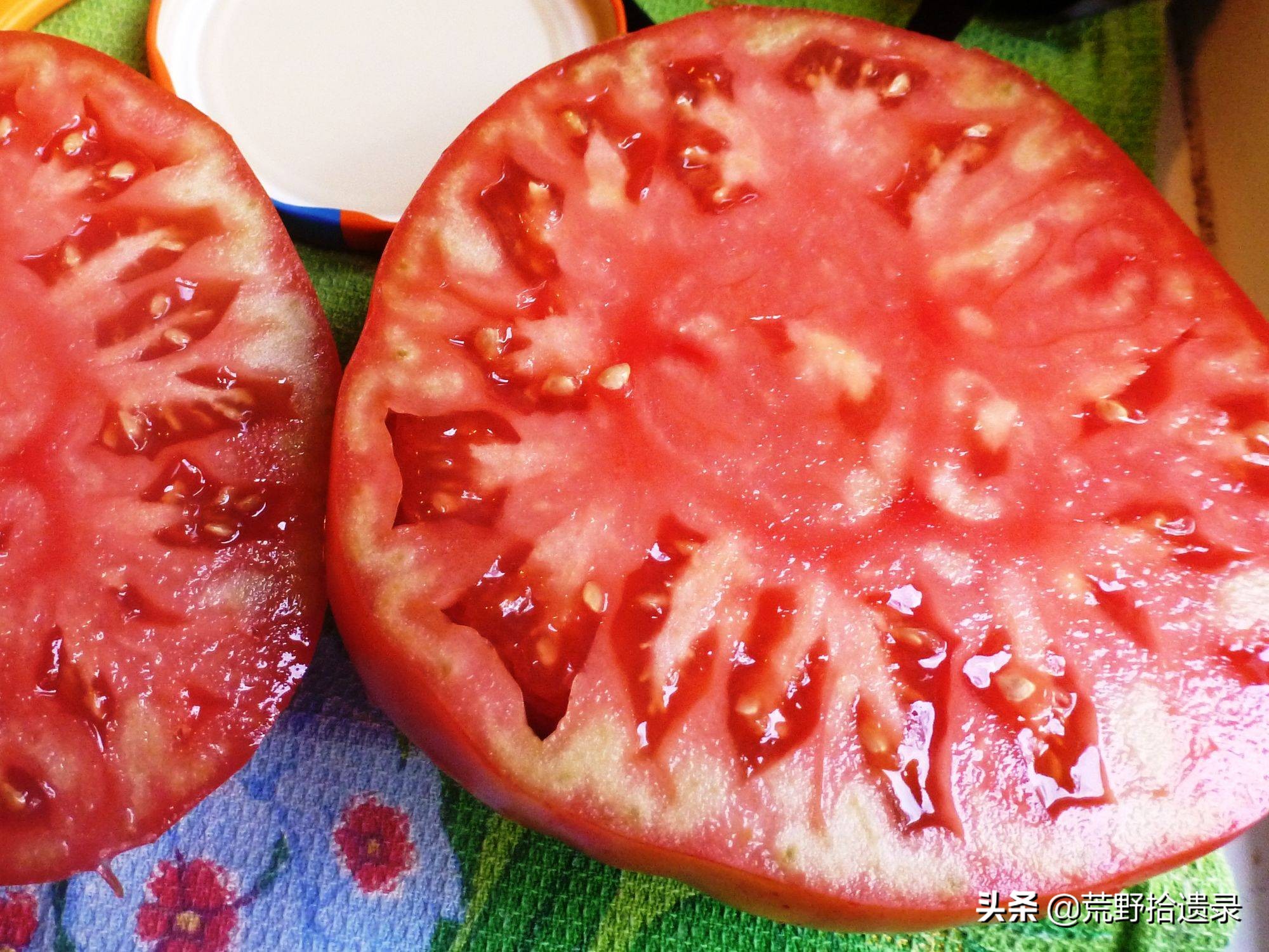 番茄怎么修剪视频教程,番茄结果后怎么修剪叶子