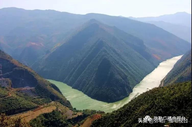 卖火了！弥勒紫色“将军芋”！政府包了