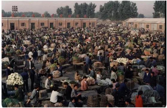 真实的新发地是什么,新发地到底是哪里