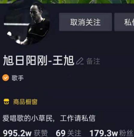 旭日阳刚已落魄下一句是什么,旭日阳刚的心酸