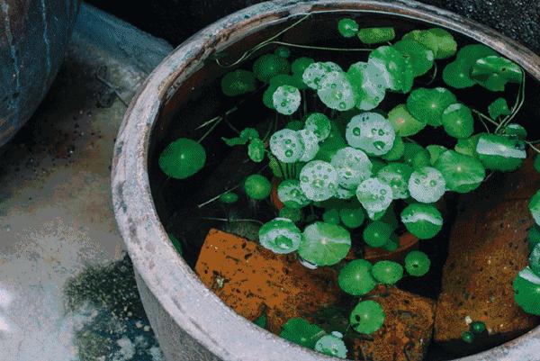 深圳十大免费景点路线,深圳10条绝美海岸线