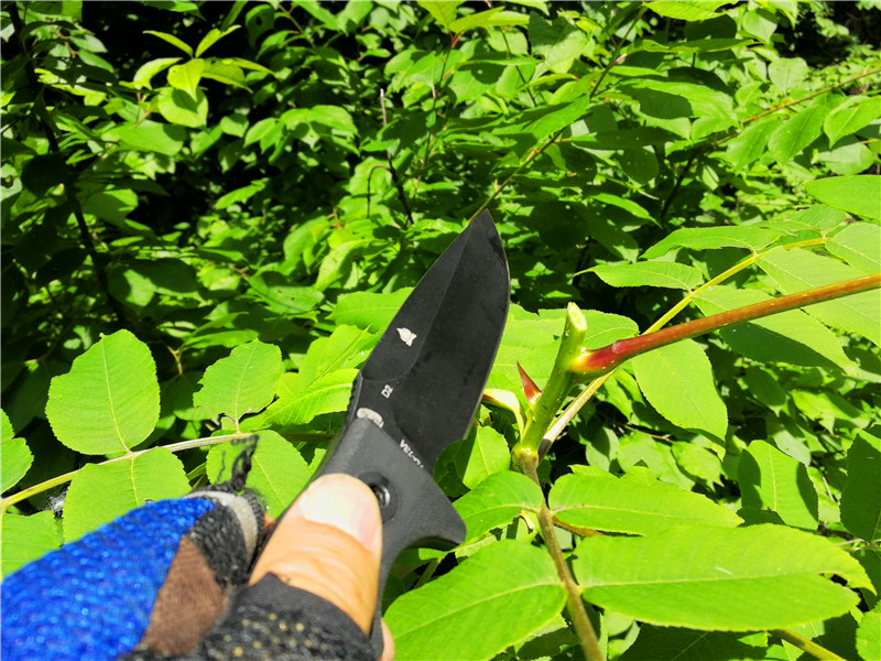 汉道洛克x生存刀暴力测试,户外生存实用工具推荐