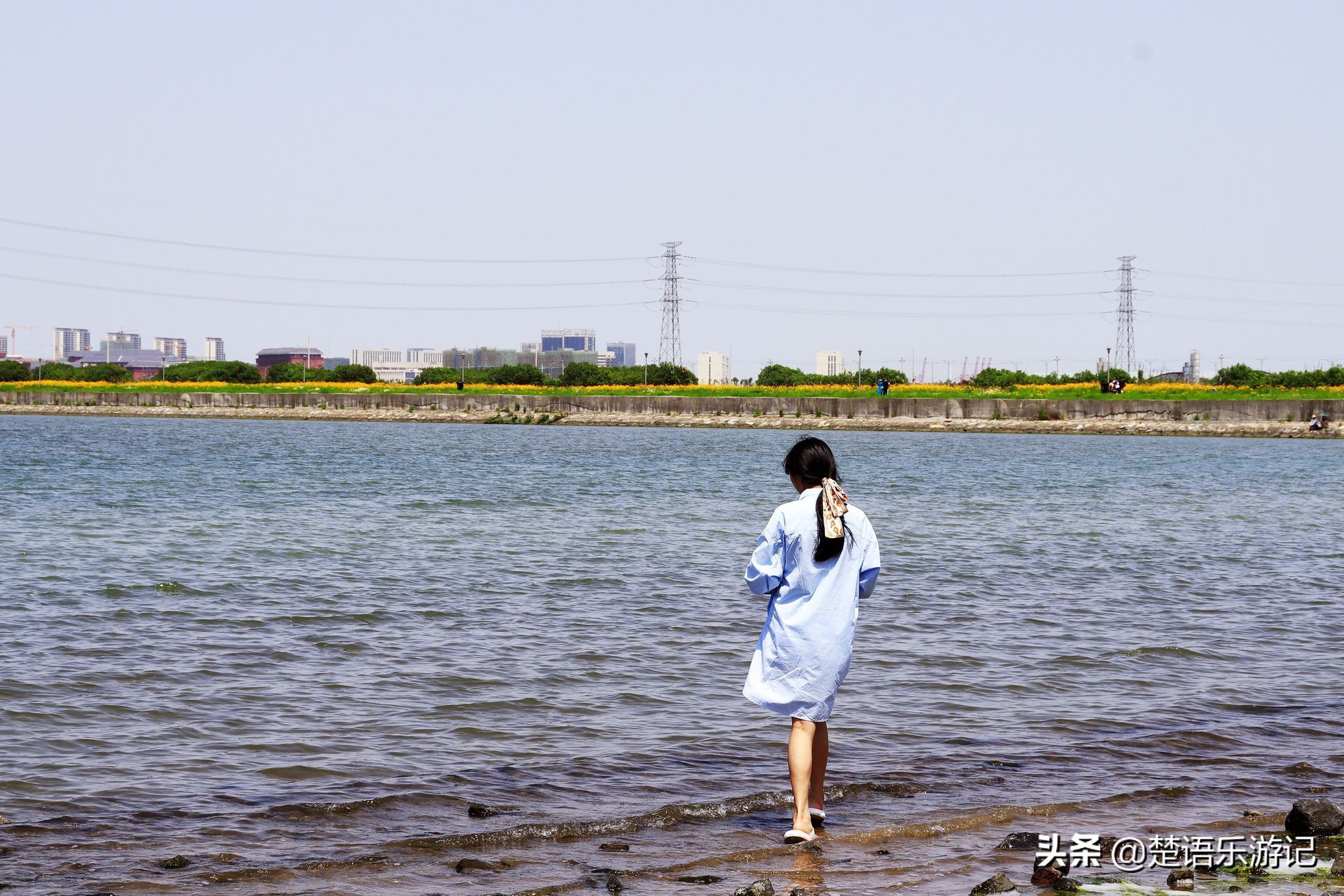 宁波大闸桥花海,宁波风景花海