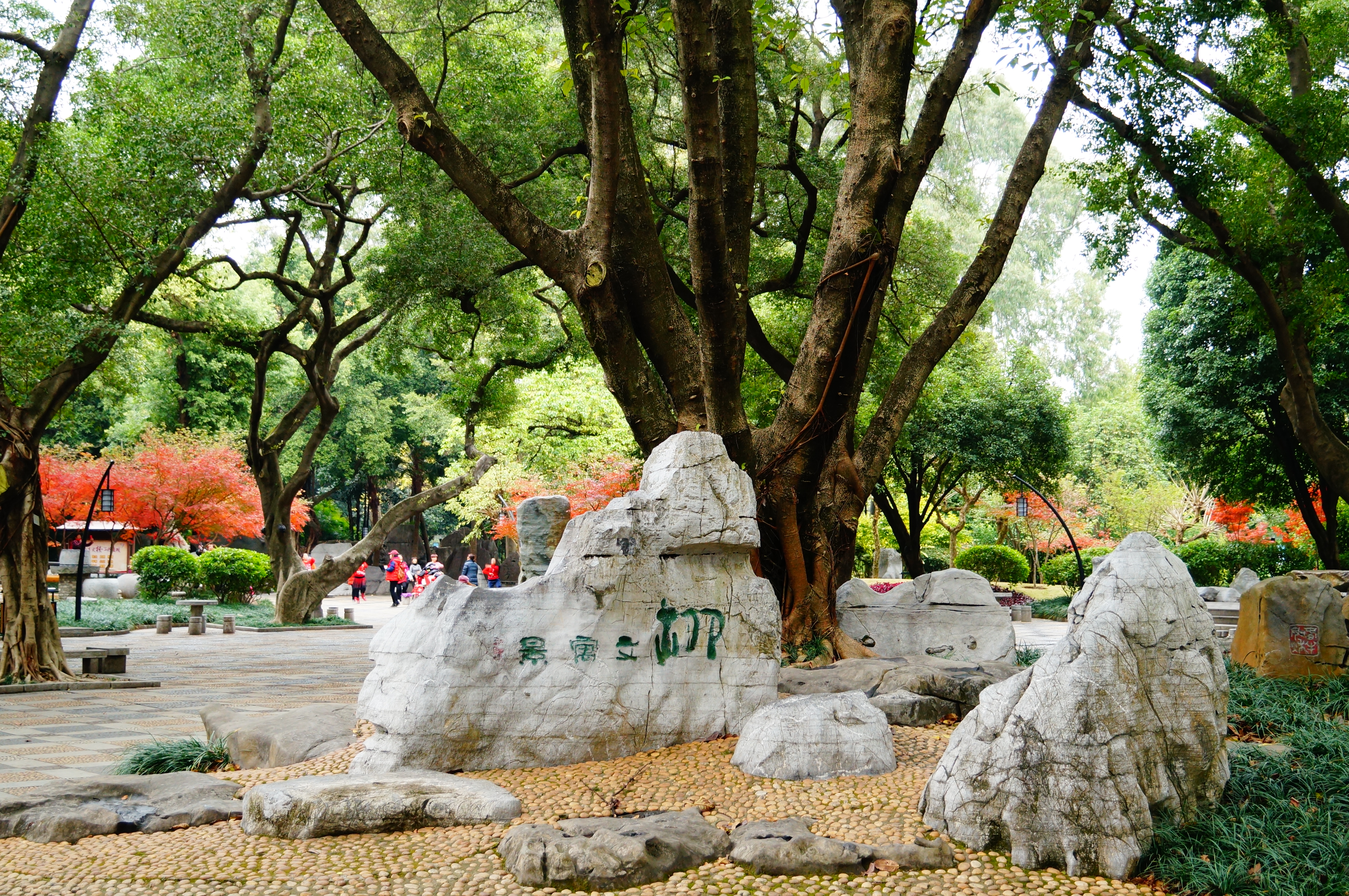 柳州的柳侯公园景色,柳州的秋天美景