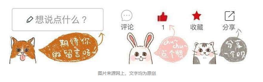 在水里鲸鱼是如何给鲸宝宝哺乳的,鲸是怎么哺乳的