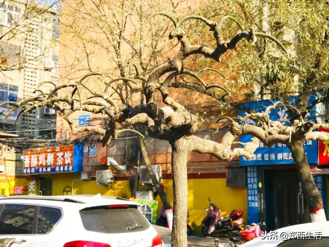 荥阳吾悦广场推荐小吃,荥阳小吃多的地方