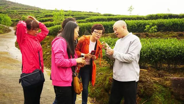 全国十大名茶旅游地,中国十大茶旅