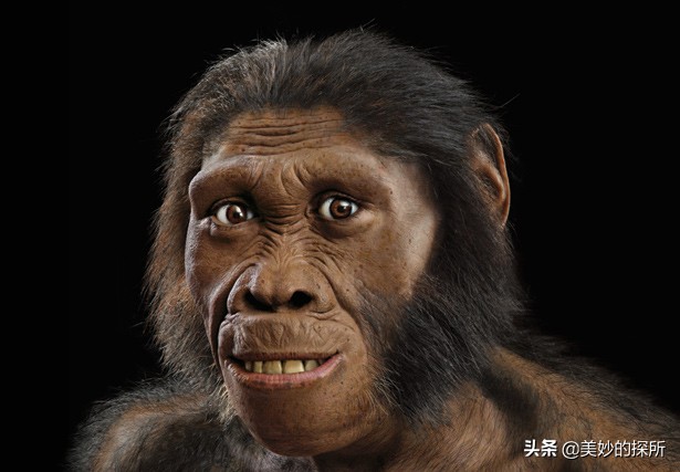 黄种人、黑人、白人为什么可以自由交配，没有产生生殖隔离？