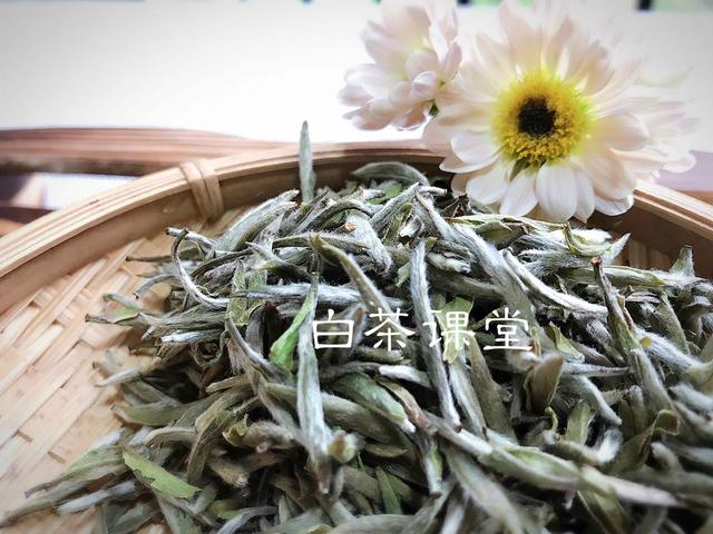 看完这六个问题你还敢迷茫吗,看完这六个问题你还再迷茫吗