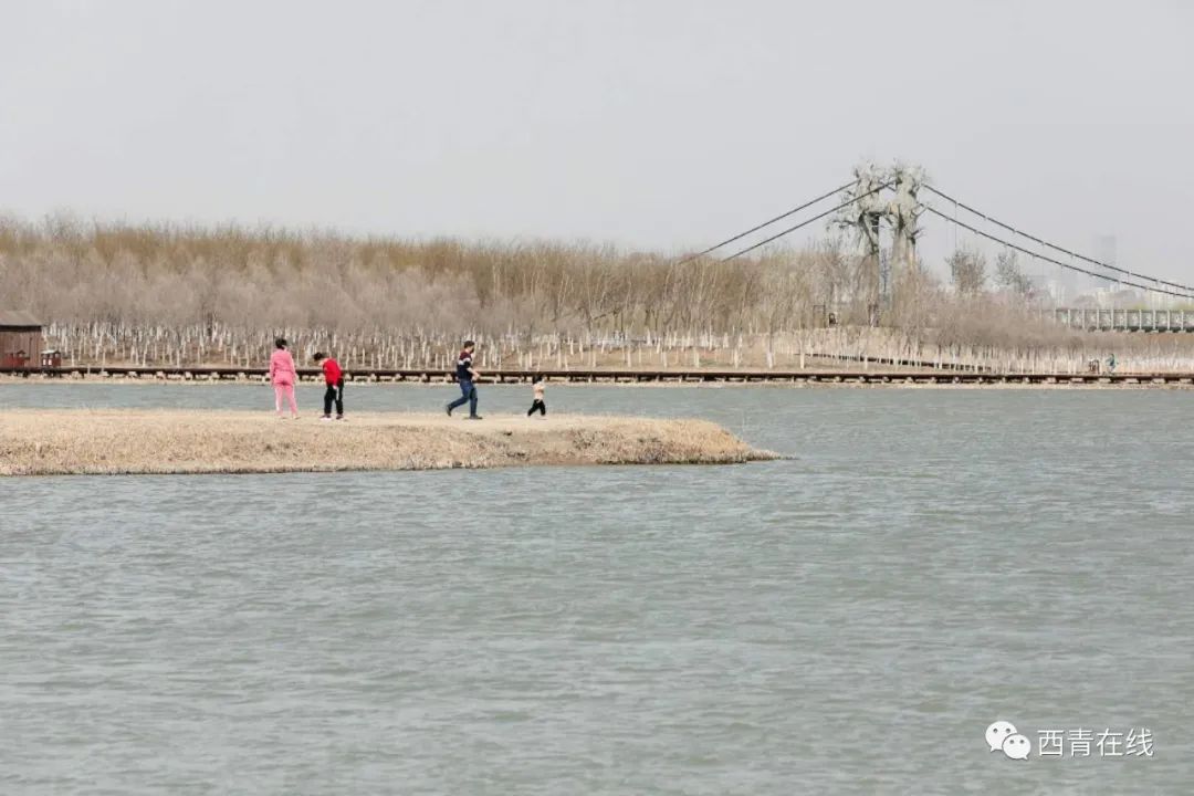 天津东疆亲海公园2022年开放吗,天津2022哪些公园恢复开放