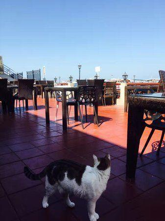 迪拜初印象这才是最真实的迪拜,你以为的迪拜和现实中的迪拜