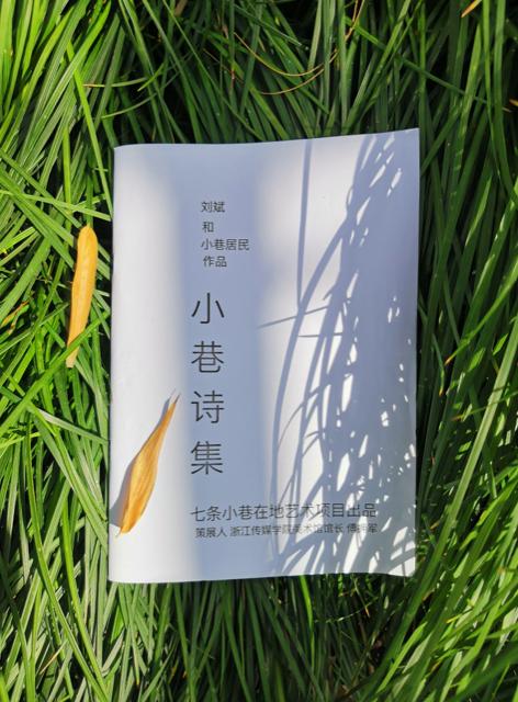 傅拥军的作品,傅拥军案例