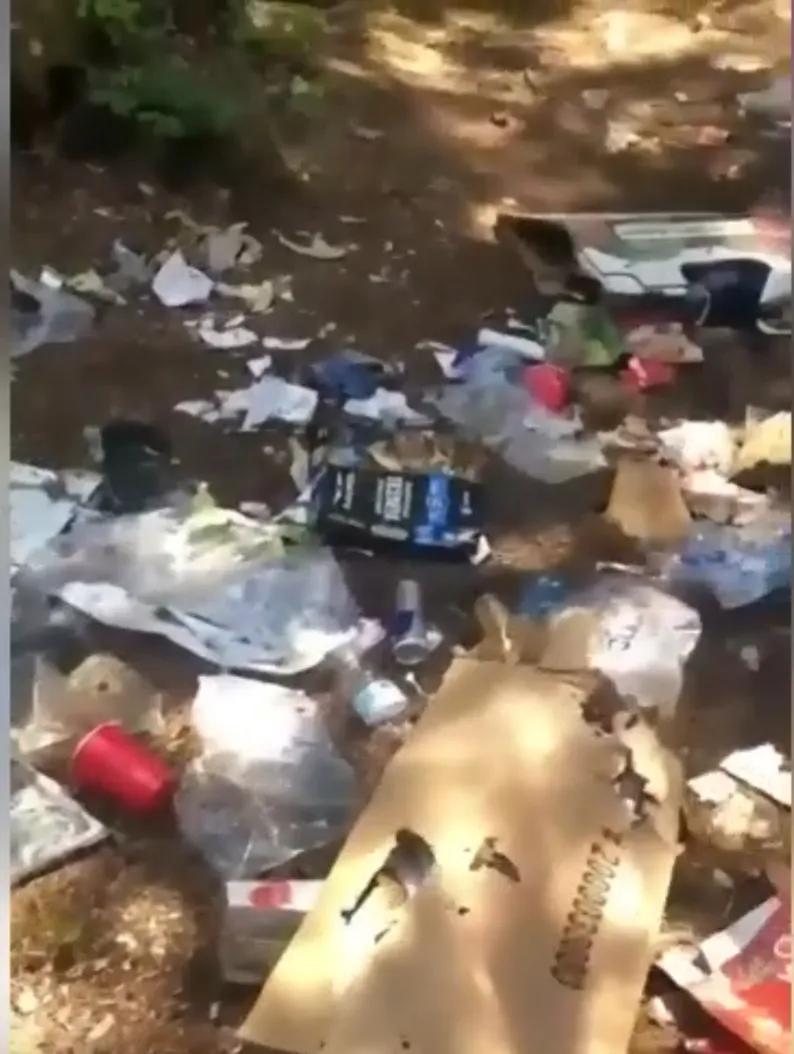 户外露营厕所怎么处理粪便,野外露营粪便处理