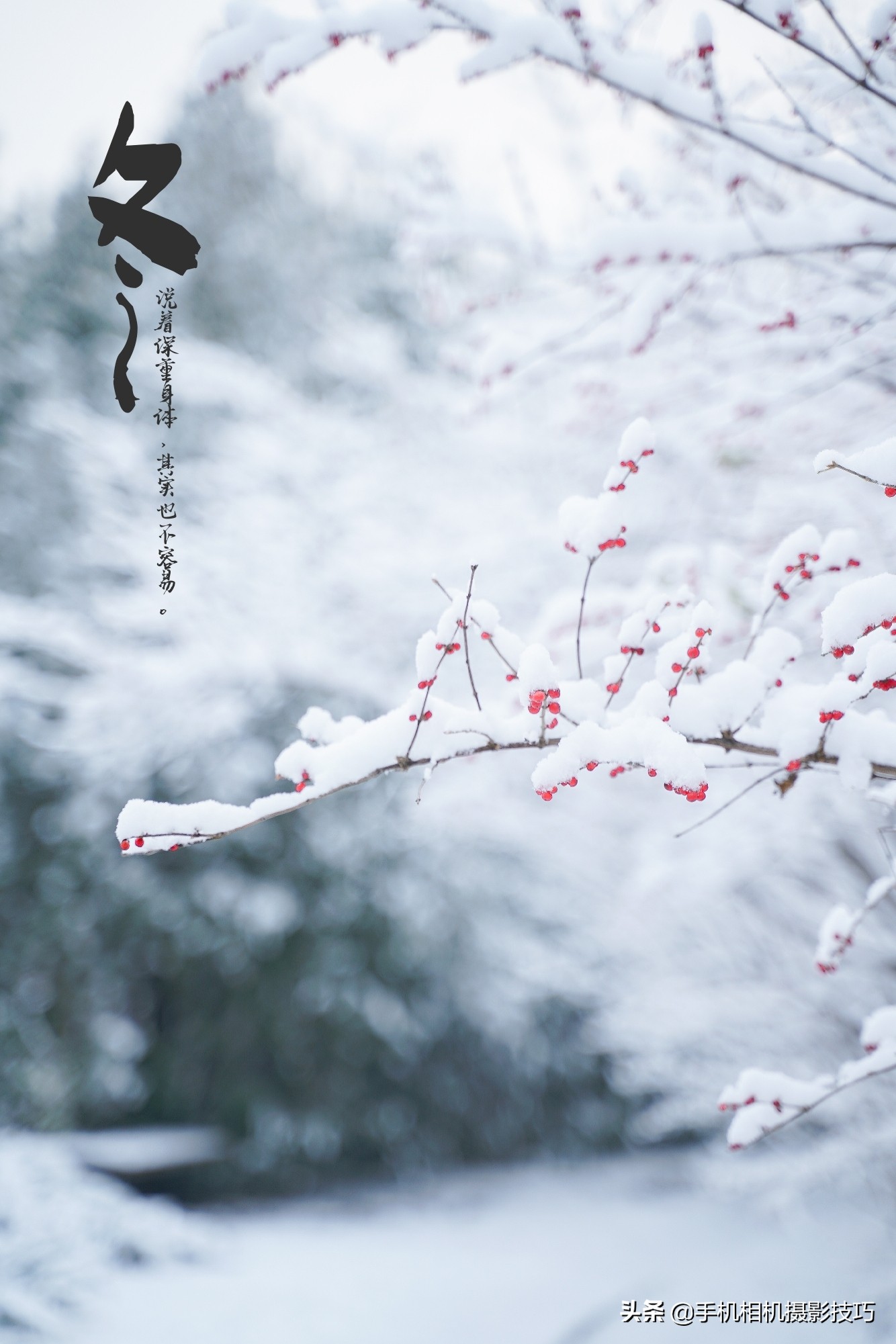 照片加水印哪个软件不丢画质,手机app照片一键加水印
