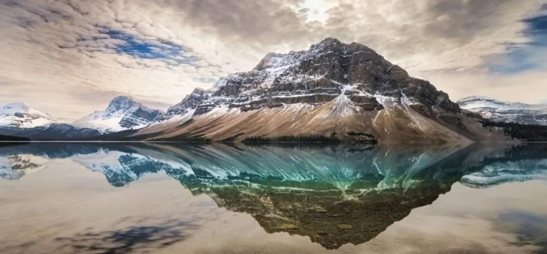 基金投顾的特点是什么,蛋卷基金投顾服务