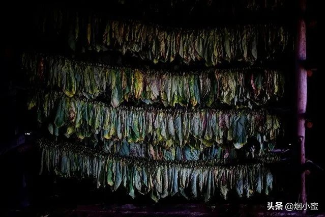 rcep目前签了哪几个国家,rcep签了日本车会便宜多少