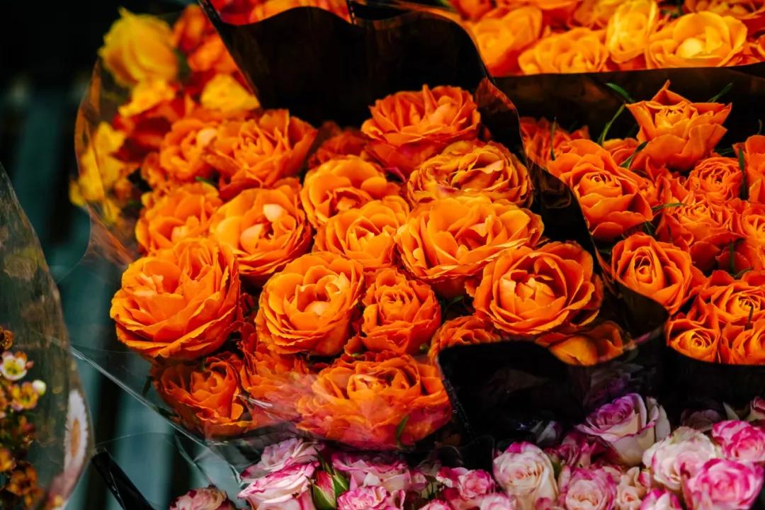 汉中门花市,汉中门花市价格