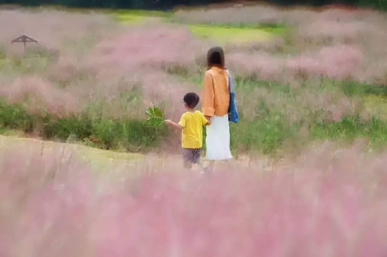 上海观赏草,上海之鱼冬天风景