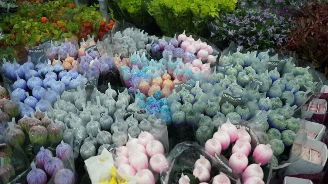 花卉市场晚上营业,今天的花卉市场
